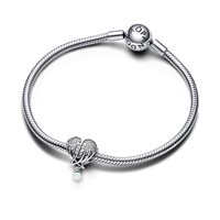 Charm Pandora Donna Moments in Argento Zirconia 792980C01 - 792980C01